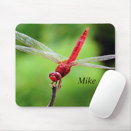 Dragonfly Mouse Pad Green and Red