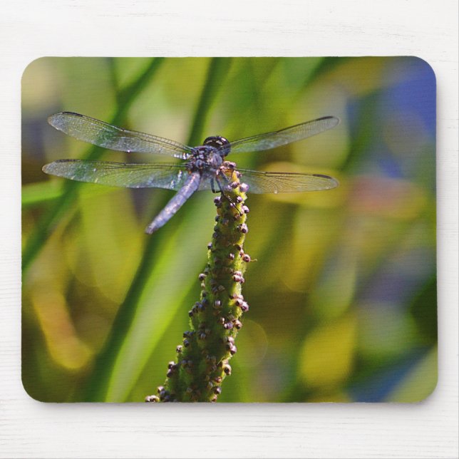 Dragonfly Mousepad (Front)