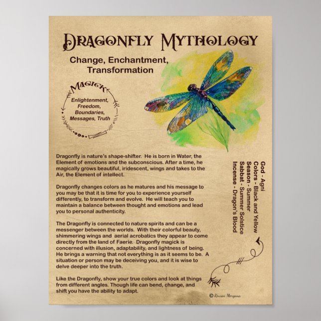 DRAGONFLY MYTHOLOGY POSTER (Front)