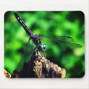 Dragonfly Nature Mouse Pad