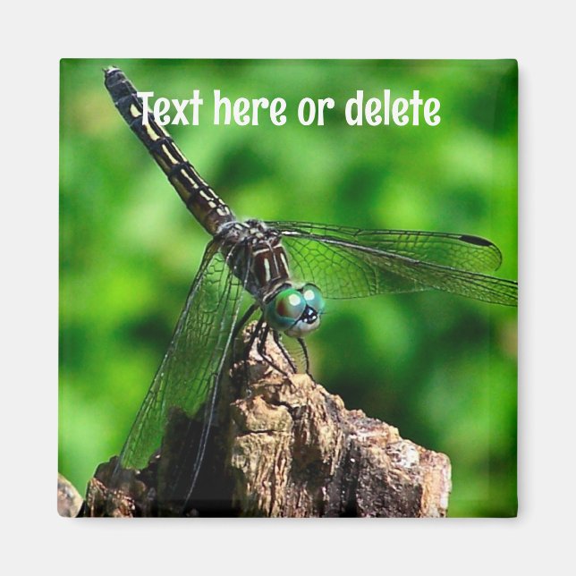 Dragonfly Nature Personalized Magnet (Front)