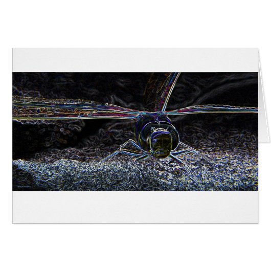Dragonfly neon 2 cards (Front Horizontal)