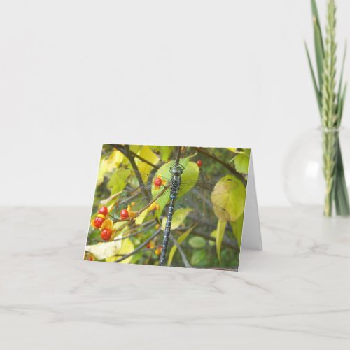 Dragonfly note card blank