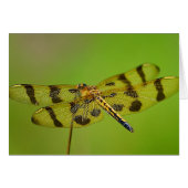 Dragonfly Notecard (Front Horizontal)