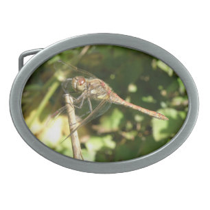 Dragonfly on a Twig Belt Buckle