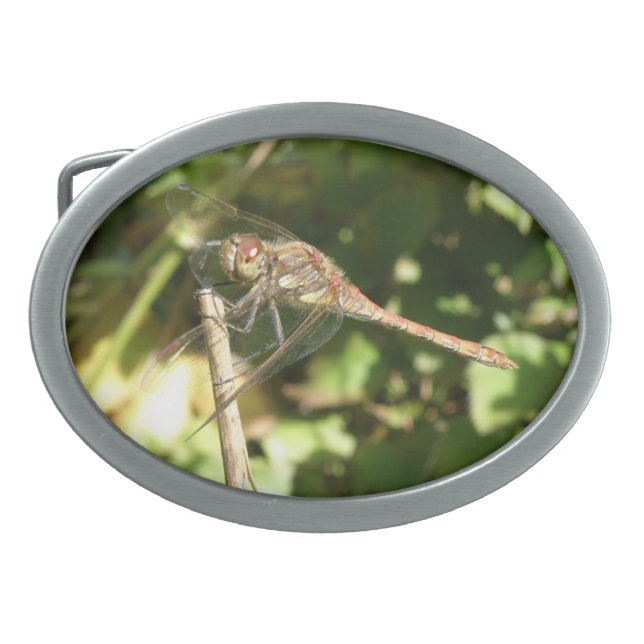 Dragonfly on a Twig Belt Buckle (Front)