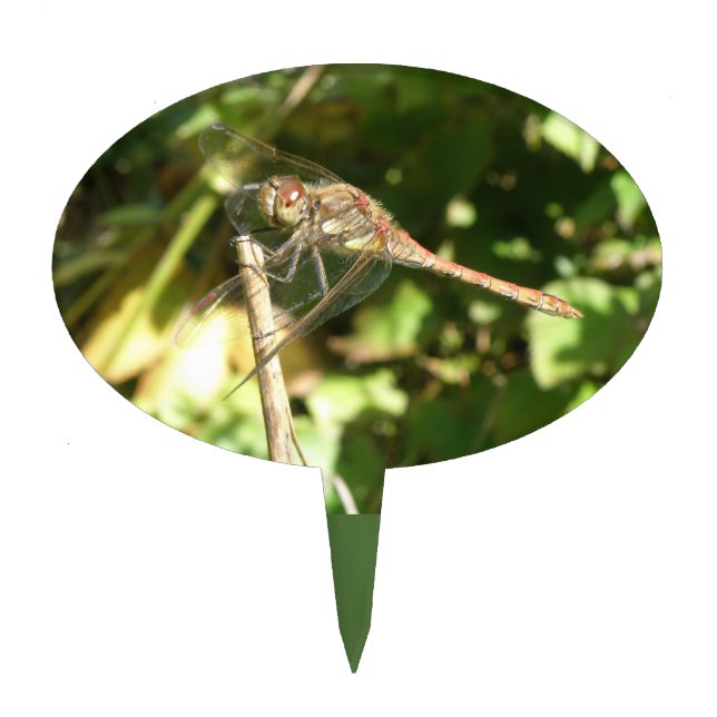 Dragonfly on a Twig Cake Pick (Front)