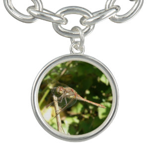 Dragonfly on a Twig Charm Bracelet