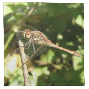 Dragonfly on a Twig Napkin