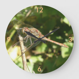Dragonfly on a Twig Wall Clock