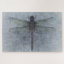 Dragonfly on Blue Background