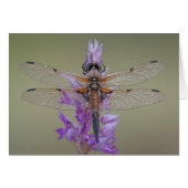 Dragonfly On Flower Note Card (Front Horizontal)