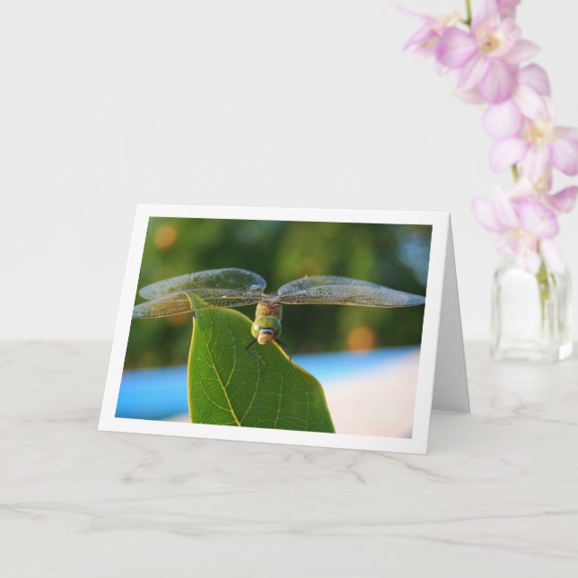 Dragonfly on Green Leaf Card (Orchid)