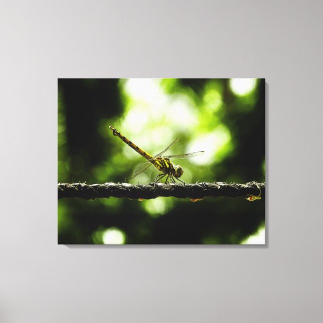 Dragonfly on green - Wrapped Canvas Print (Front)