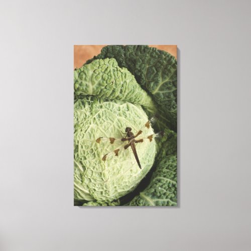 Dragonfly on lettuce canvas print