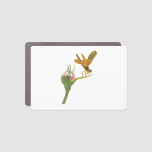 Dragonfly on Pink Rosebud Car Magnet