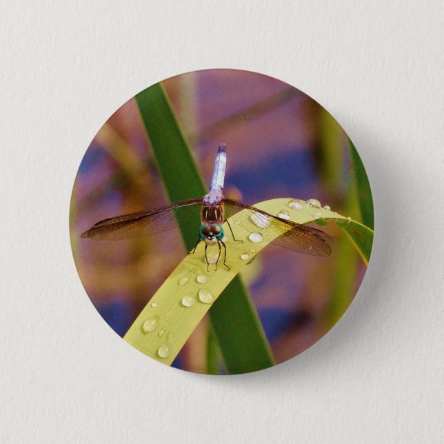 Dragonfly on raindrop leaf button (Front)