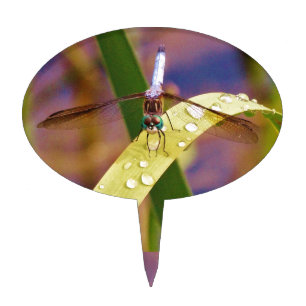 Dragonfly on raindrop leaf cake topper
