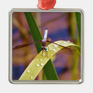 Dragonfly on raindrop leaf metal ornament