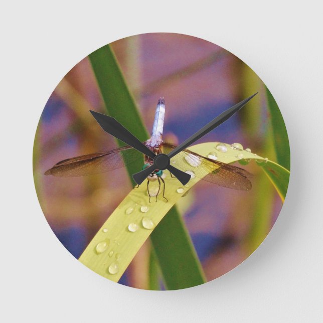 Dragonfly on raindrop leaf round clock (Front)
