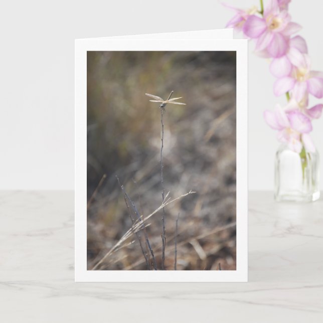 Dragonfly on Stalk Portrait Card (Orchid)