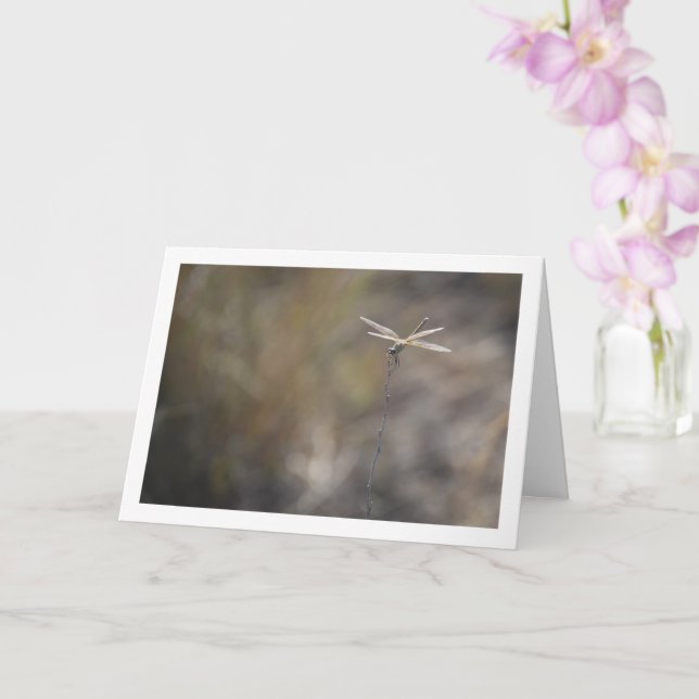 Dragonfly on Stalk Portrait Card (Orchid)