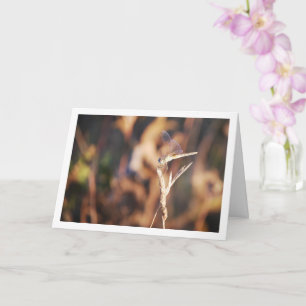 Dragonfly on Stem Portrait Card
