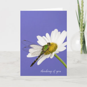 dragonfly on white daisy card