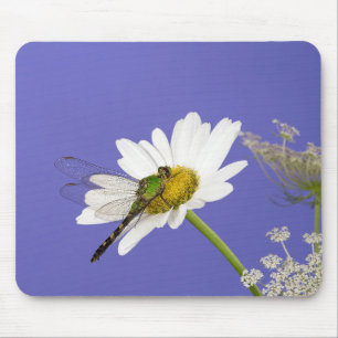 Dragonfly on White Daisy Mouse Pad