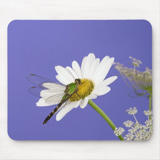 Dragonfly on White Daisy Mouse Pad (Front)