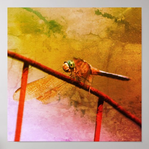 Dragonfly On Wire Fence Abstract Grunge Poster