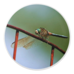 Dragonfly On Wire Fence Close Up Ceramic Knob