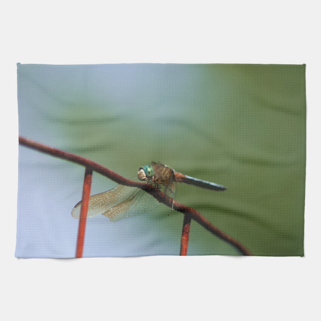 Dragonfly On Wire Fence Close Up Kitchen Towel (Horizontal)