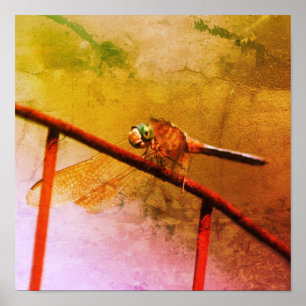 Dragonfly On Wire Fence Distressed Art Poster
