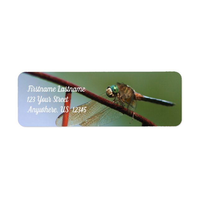 Dragonfly On Wire Fence Nature Address Label (Front)