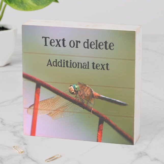 Dragonfly On Wire Fence Personalized Wooden Box Sign (In Situ Horizontal)