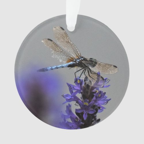 Dragonfly Ornament