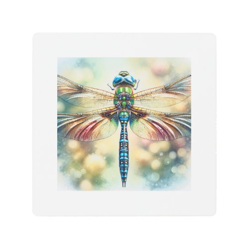 Dragonfly Overleaf IREF570 _ Watercolor Metal Print