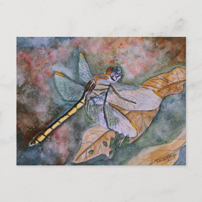 dragonfly painting postcard (Front)