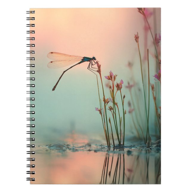 Dragonfly Pastel Reflection Notebook (Front)