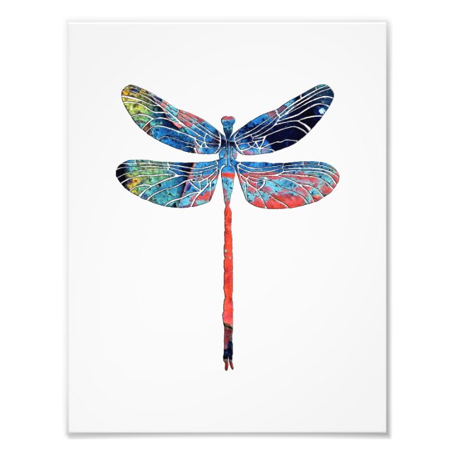 Dragonfly Photo Print (Front)