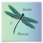 Dragonfly Photo Print at Zazzle