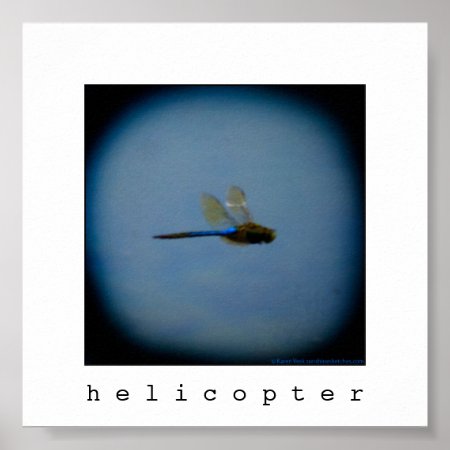 Dragonfly Photo Square Print Poster