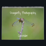 Dragonfly Photography Calendar<br><div class="desc">This pretty calendar features my original photographs of dragonflies in the summer season. These calendars are high quality and vibrant. You may choose other sizes and other options if desired. This unique calendar would make a great gift for a dragonfly lover or nature lover in the new year.</div>