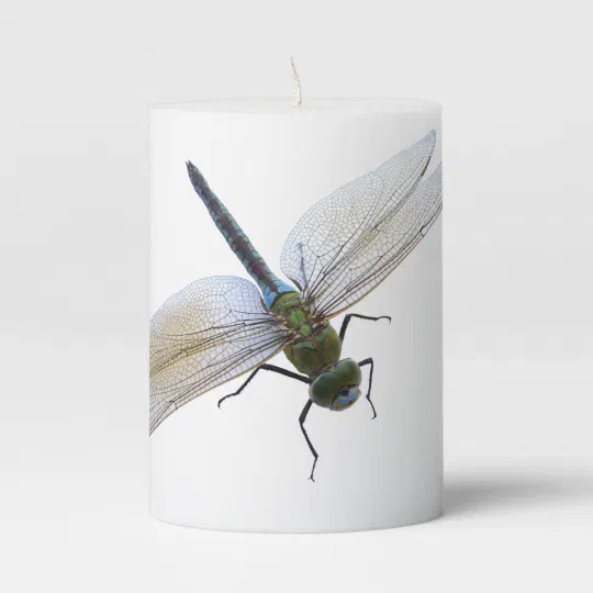 DRAGONFLIES AND LILIES Hand Decorated Pillar Candle 50hrs 15x7cm 