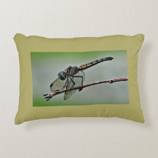 Dragonfly Pillow