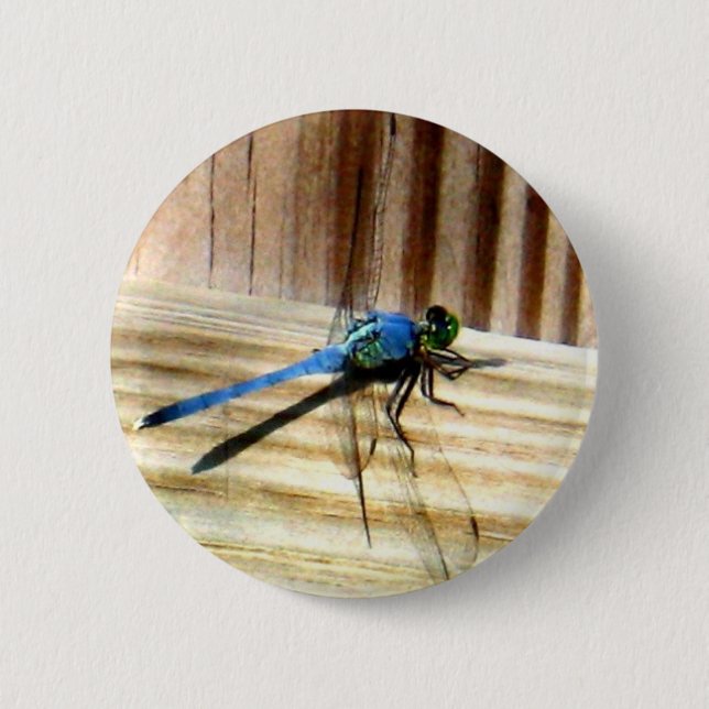 Dragonfly Pinback Button (Front)