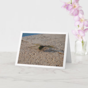 Dragonfly Portrait Card