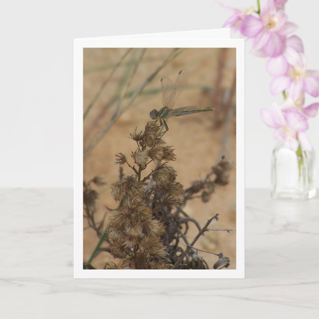 Dragonfly Portrait Card (Orchid)