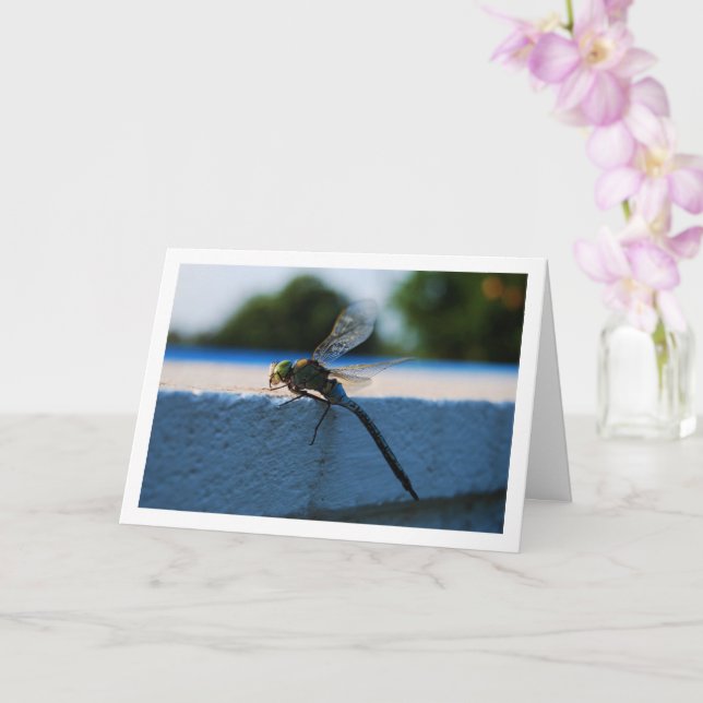 Dragonfly Portrait Card (Orchid)